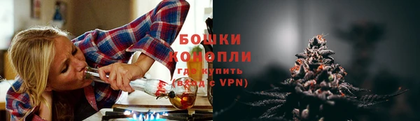 МДПВ Вяземский