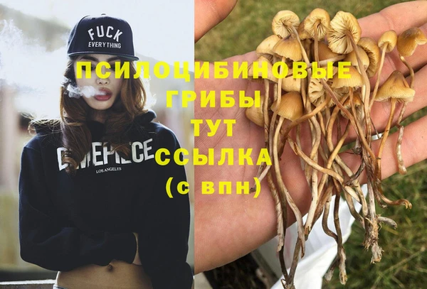 МДПВ Вяземский