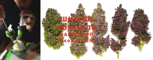 МДПВ Вяземский