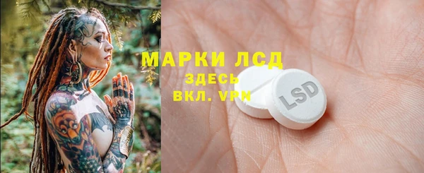 МДПВ Вяземский