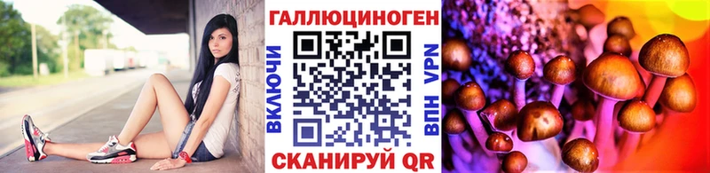 Псилоцибиновые грибы ЛСД  маркетплейс наркотические препараты  Дегтярск  хочу наркоту 
